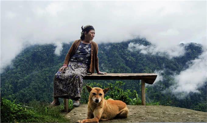 宠物上了年纪会变挑食?给宠物挑选狗粮，有什么注意事项吗?