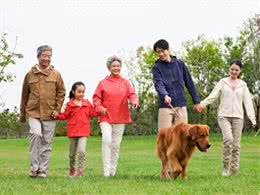 重视文明养犬｜让狗狗成为社区的友好伙伴