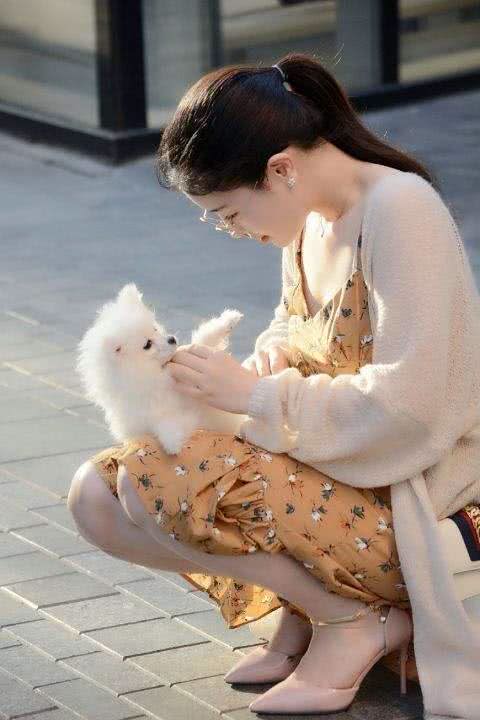 狗狗眼里第一主人是什么样的?划分等级?你排第几呢?