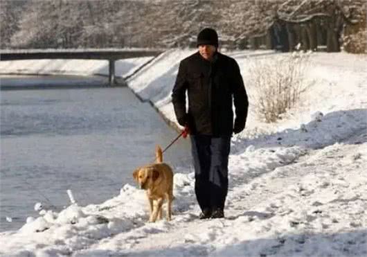 狗狗如何过冬:养狗必看的生活小贴士