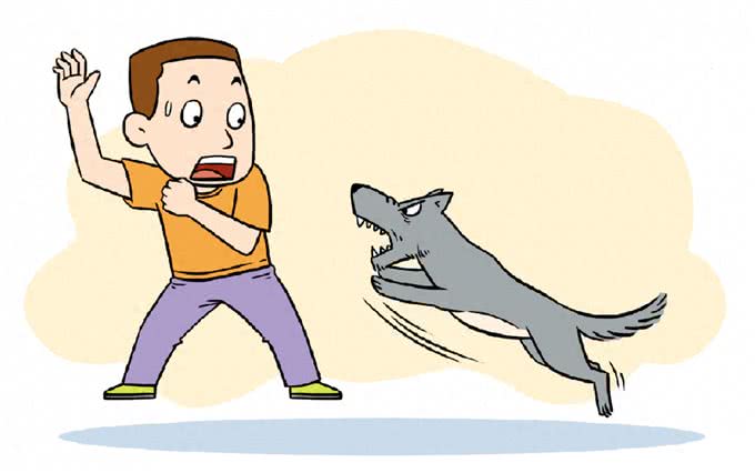 一文读懂狂犬疫苗