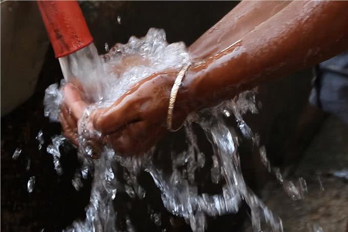 一文读懂狂犬疫苗