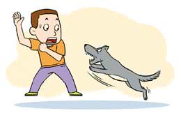 一文读懂狂犬疫苗