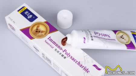 如何弥补幼宠狗狗免疫缺陷，提高狗狗免疫力