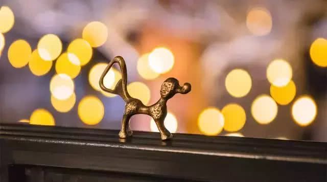 贵宾犬开瓶器｜这个汪是个老司机