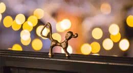 贵宾犬开瓶器｜这个汪是个老司机