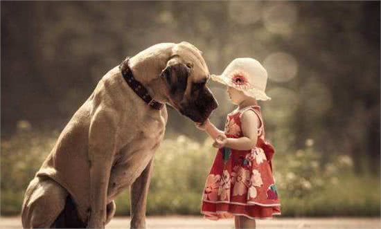 出门总被狗狗拽着走,拉也拉不住,狗狗为何出门就疯跑?