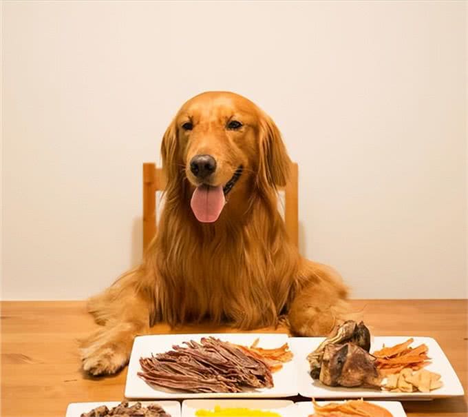 一只狗狗生活幸福，会有什么表现?