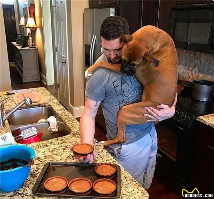 此犬因打斗方式独特，号称犬中圣斗士，护卫能力超过德牧