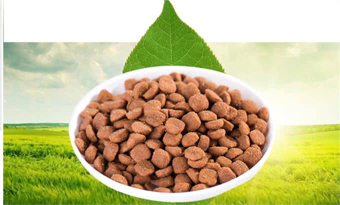 教你如何分辨狗粮的好坏