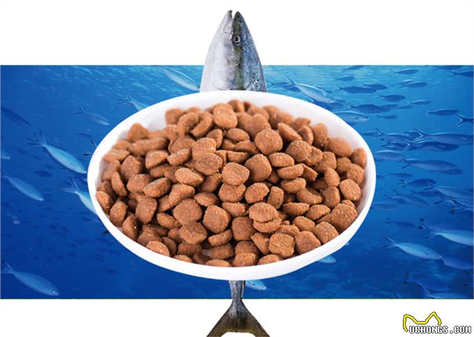 教你如何分辨狗粮的好坏