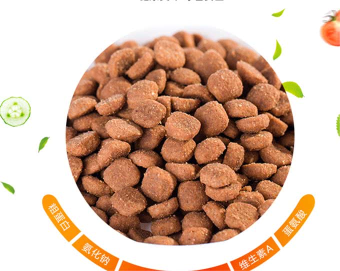 教你如何分辨狗粮的好坏