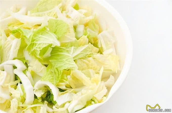 狗狗可以吃白菜吗?喂食白菜的注意事项与每日适量量