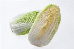 狗狗可以吃白菜吗?喂食白菜的注意事项与每日适量量