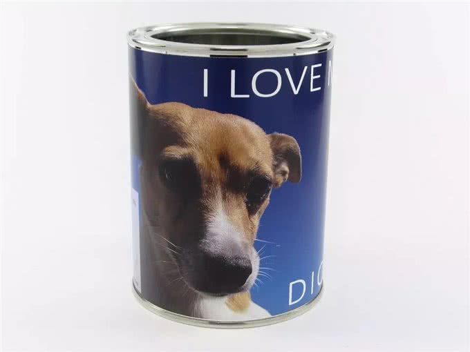 给狗狗喂多少才合适?如何判断它吃的刚刚好