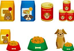 给狗狗喂多少才合适?如何判断它吃的刚刚好