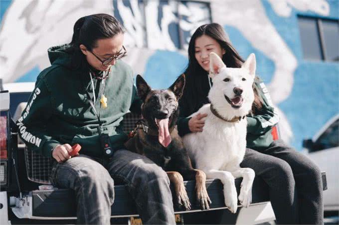 马犬地位不保，从万人迷到万人嫌，这是为什么?