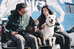 马犬地位不保，从万人迷到万人嫌，这是为什么?