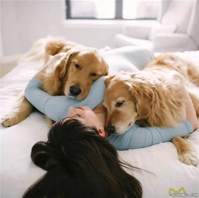 狗狗的忠诚，源自这不可思议的本能!