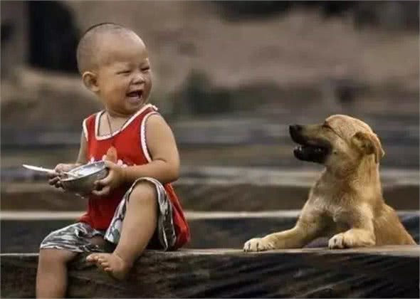 后来我看到的每一只狗都像你，只是都没你好看