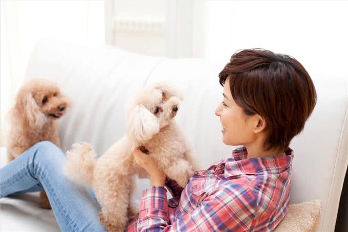 养一只狗,它会孤独吗?两只会不会更好?