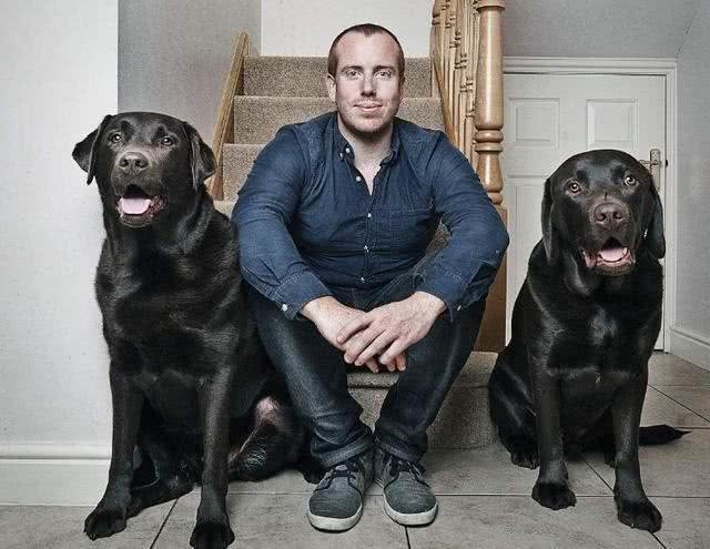 首次养狗该如何选择?这8个品种的狗，最适合萌新宠主饲养