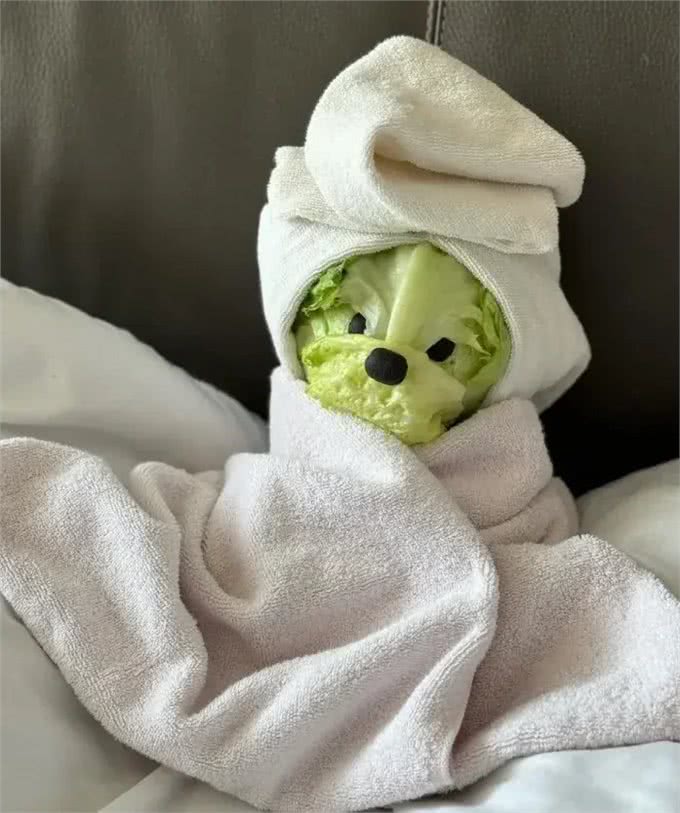 当泰迪在小小的沙滩上挖呀挖呀后,秒变双马尾老太太!耳朵甩飞了