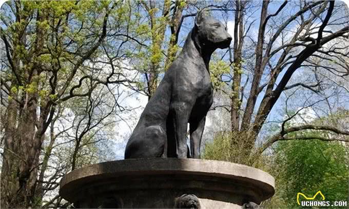 历史上最著名的10只狗!