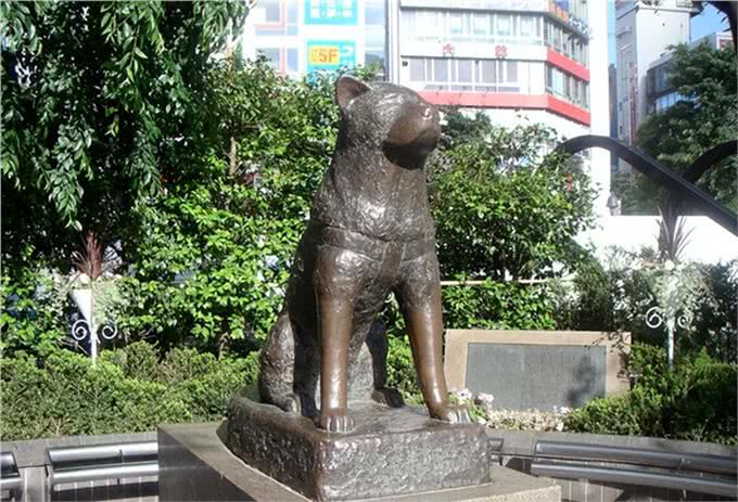 历史上最著名的10只狗!