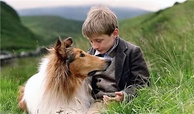 历史上最著名的10只狗!