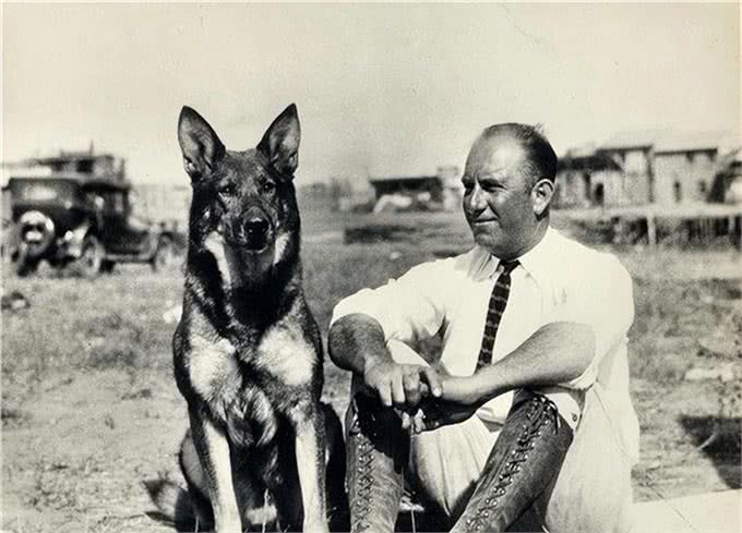 历史上最著名的10只狗!