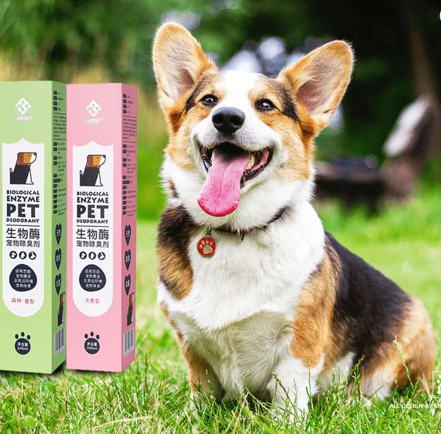 秋冬季狗狗臭味大?这些除臭方法请收好