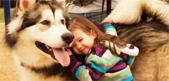 从小有狗狗陪伴长大，才是一个孩子该有的童年