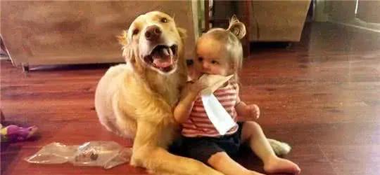从小有狗狗陪伴长大，才是一个孩子该有的童年