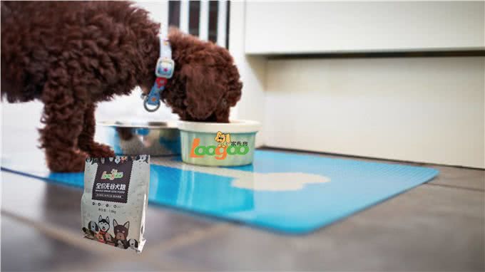 选狗粮不要光看宣传，这几个自我判断标准更重要