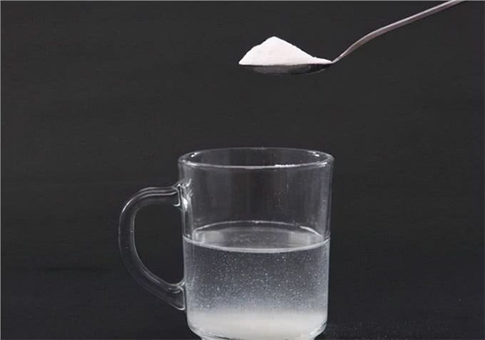 养狗心得:狗体内有虫有什么症状?处理寄生虫怎么办比较快?