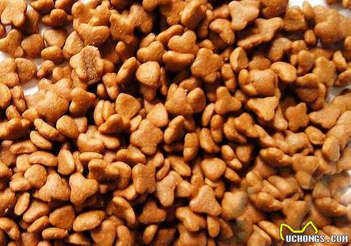 新手狗爸狗妈看过来，幼犬粮咋挑?怎么给狗子选择狗粮