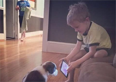 小主人拿平板给狗狗看，他们温馨的互动让人觉得狗狗的生活真美妙