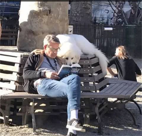 小主人拿平板给狗狗看，他们温馨的互动让人觉得狗狗的生活真美妙