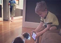 小主人拿平板给狗狗看，他们温馨的互动让人觉得狗狗的生活真美妙