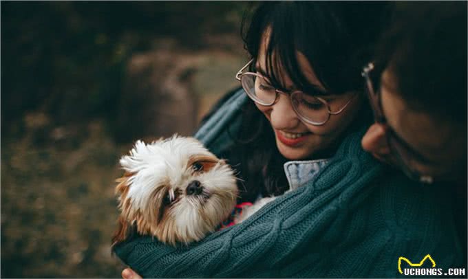 如何更好照顾年迈狗狗?这些要点你都要关注