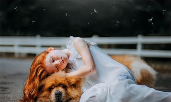 如何更好照顾年迈狗狗?这些要点你都要关注