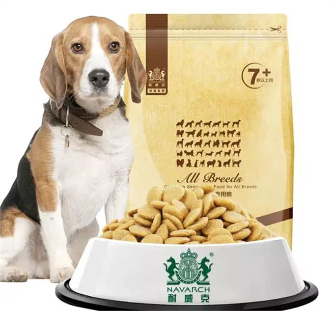 养宠必看丨耐威克，狗狗肠胃护理全攻略