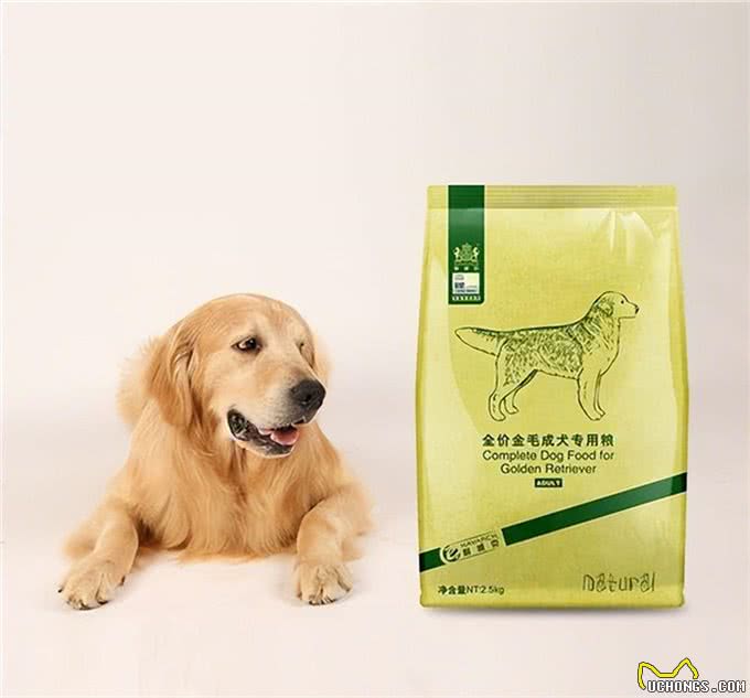 养宠必看丨耐威克，狗狗肠胃护理全攻略