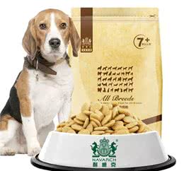 养宠必看丨耐威克，狗狗肠胃护理全攻略