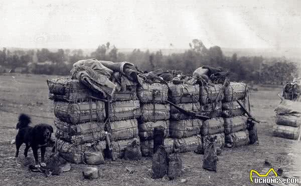 相犬大全之乌犬踏雪，看家护院之首选