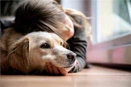 揭秘狗狗分离焦虑症：四大初期症状及应对策略，不容忽视!