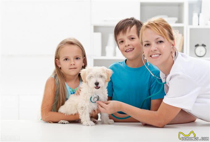 宠物感冒了怎么办?猫狗感冒的症状以及诊断治疗全在这里?了解一下