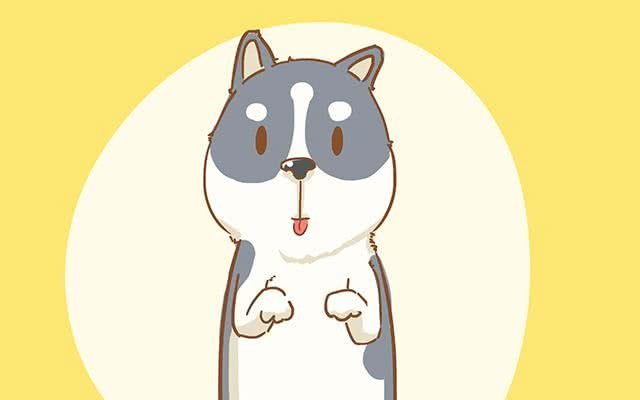 为什么狗总喜欢扑孕妇?答案让人脸红又觉得尴尬