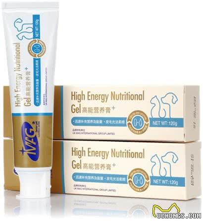 养狗须知:狗狗营养不良影响毛发怎么办?